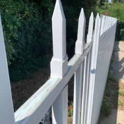 Portillon en Bois Exotique: Exclusivité et Raffinement Saint-Xandre